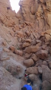 We all have great imaginations. We thought this must be the goblins in their lair.